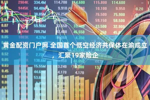 黄金配资门户网 全国首个低空经济共保体在渝成立，汇聚19家险企